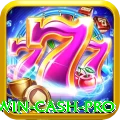 2090win Cash Pro