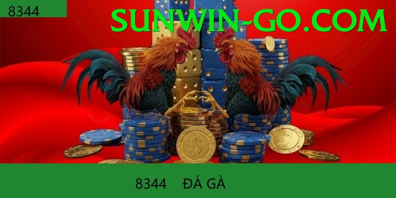 Trường Đấu Đá Gà Chuyên Nghiệp - Phiên bản mới